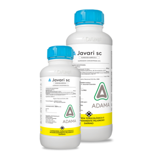 Javari bodegon_prueba.png